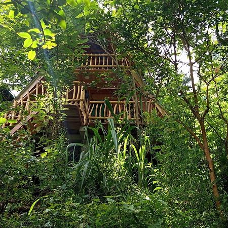 Eco Village Ella Zewnętrze zdjęcie