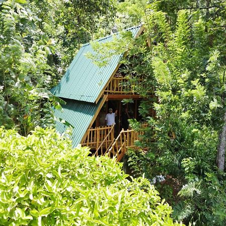 Eco Village Ella Zewnętrze zdjęcie