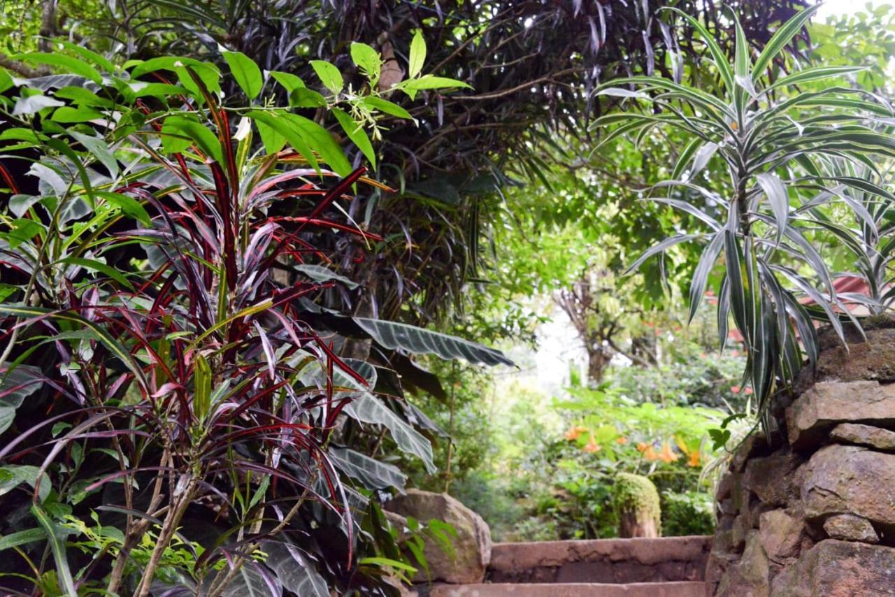 Eco Village Ella Zewnętrze zdjęcie